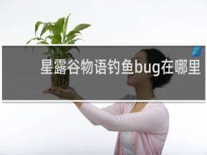 星露谷物语钓鱼bug在哪里