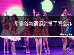 星露谷物语钥匙掉了怎么办