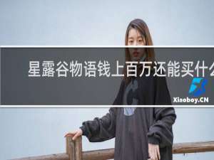 星露谷物语钱上百万还能买什么