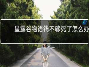 星露谷物语钱不够死了怎么办