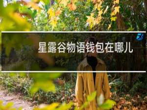 星露谷物语钱包在哪儿