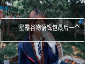 星露谷物语钱包最后一个