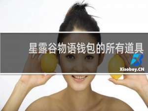 星露谷物语钱包的所有道具