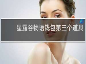 星露谷物语钱包第三个道具