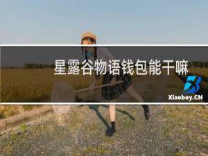 星露谷物语钱包能干嘛
