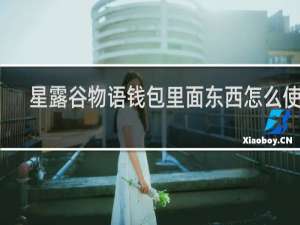 星露谷物语钱包里面东西怎么使用