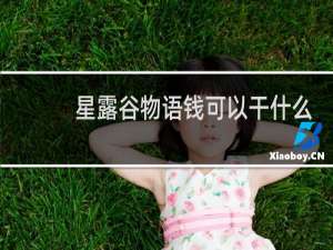 星露谷物语钱可以干什么