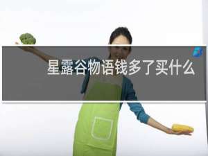 星露谷物语钱多了买什么