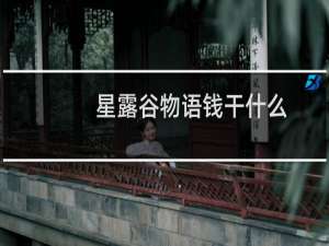 星露谷物语钱干什么