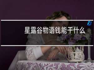 星露谷物语钱能干什么