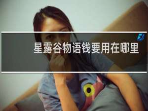 星露谷物语钱要用在哪里