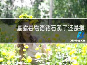 星露谷物语钻石卖了还是捐