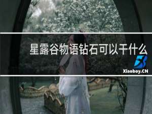 星露谷物语钻石可以干什么