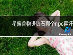 星露谷物语钻石哪个npc喜好