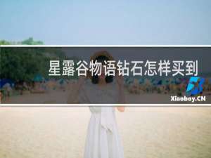 星露谷物语钻石怎样买到