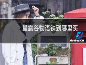 星露谷物语铁到哪里买