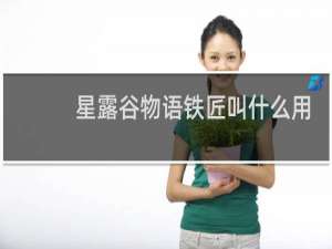 星露谷物语铁匠叫什么用