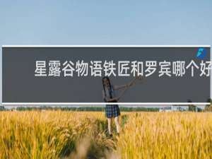 星露谷物语铁匠和罗宾哪个好