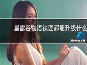 星露谷物语铁匠都能升级什么