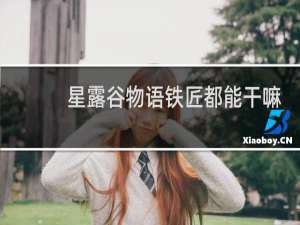 星露谷物语铁匠都能干嘛