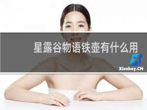 星露谷物语铁壶有什么用