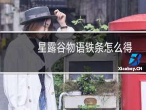 星露谷物语铁条怎么得