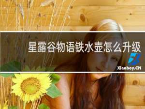 星露谷物语铁水壶怎么升级