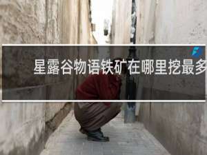 星露谷物语铁矿在哪里挖最多