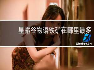 星露谷物语铁矿在哪里最多