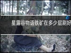 星露谷物语铁矿在多少层刷好