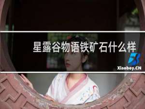 星露谷物语铁矿石什么样