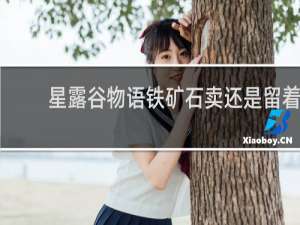 星露谷物语铁矿石卖还是留着