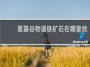 星露谷物语铁矿石在哪里找