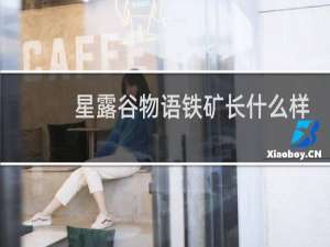 星露谷物语铁矿长什么样