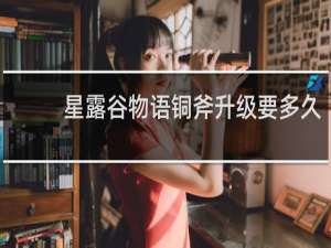 星露谷物语铜斧升级要多久