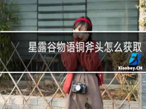 星露谷物语铜斧头怎么获取