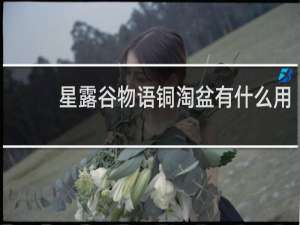 星露谷物语铜淘盆有什么用
