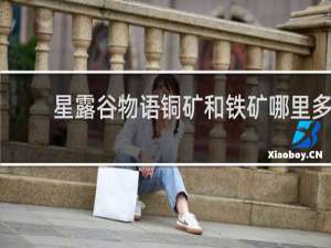 星露谷物语铜矿和铁矿哪里多