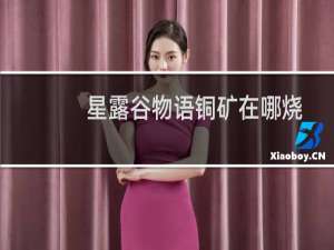 星露谷物语铜矿在哪烧