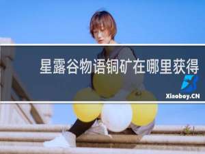 星露谷物语铜矿在哪里获得