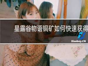 星露谷物语铜矿如何快速获得