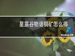 星露谷物语铜矿怎么得