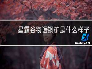 星露谷物语铜矿是什么样子