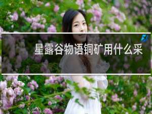 星露谷物语铜矿用什么采