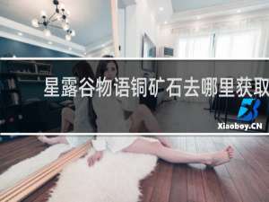 星露谷物语铜矿石去哪里获取