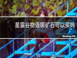 星露谷物语铜矿石可以买吗