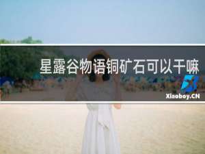 星露谷物语铜矿石可以干嘛