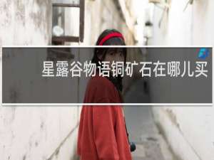 星露谷物语铜矿石在哪儿买