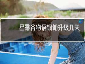 星露谷物语铜锄升级几天