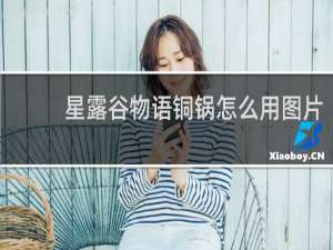 星露谷物语铜锅怎么用图片